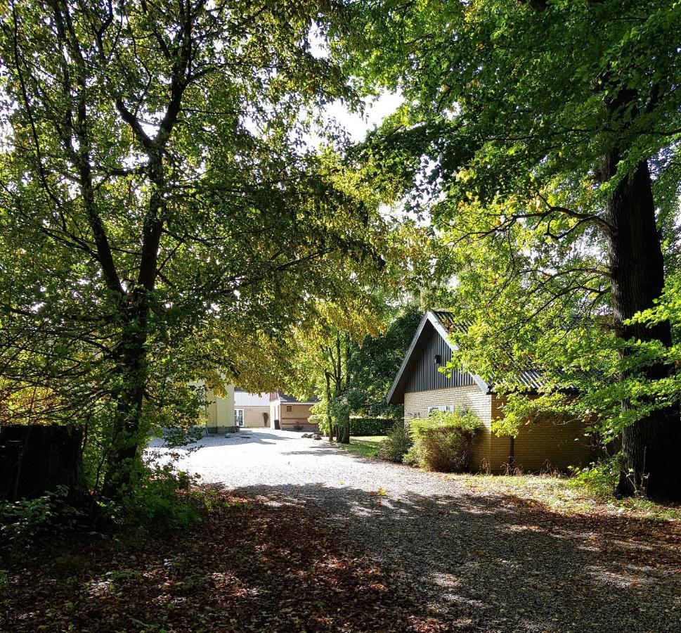 Pederstrup Bed And Breakfast Torrig Exterior foto