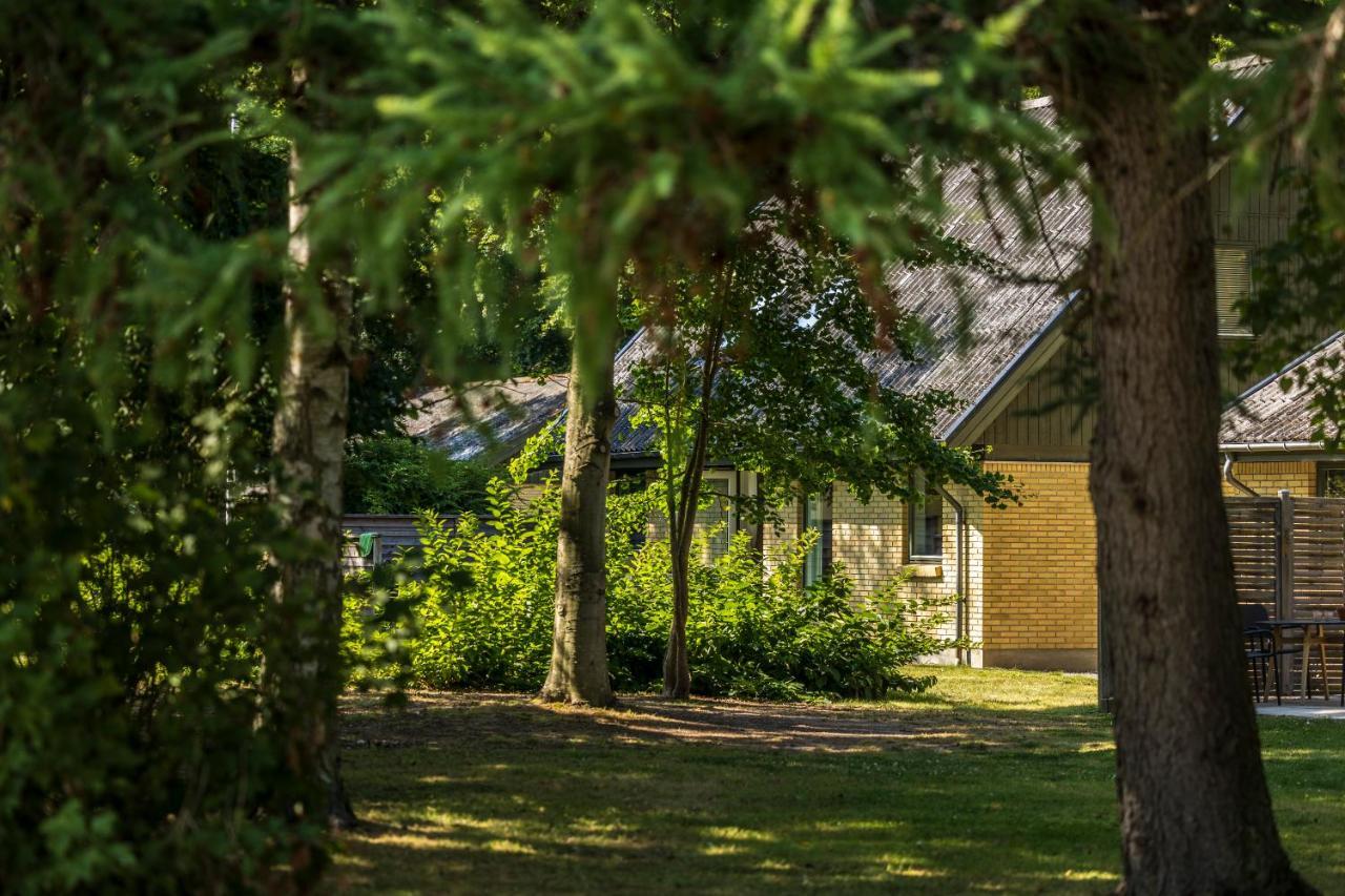 Pederstrup Bed And Breakfast Torrig Exterior foto